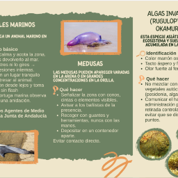 manual 2